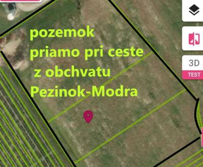 Prodej Pozemky - komerční, Pozemky - komerční, Trnina, Pezinok, Sloven