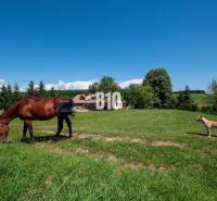 Breznička Vila prodej reality Poltár