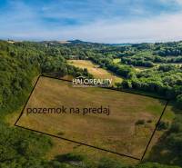 Štiavnické Bane Pozemky - rekreace prodej reality Banská Štiavnica