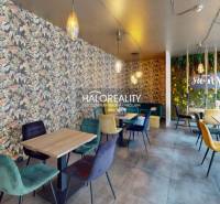 BA - Nové Mesto Restaurace prodej reality Bratislava - Nové Mesto