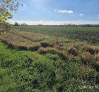 Senec Pozemky - bydlení prodej reality Senec