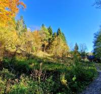 predaj_pozemok_krpacovo_nizke_tatry_03.jpg