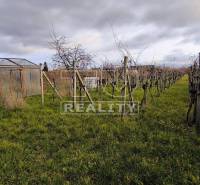 Pezinok Rodinný dům prodej reality Pezinok