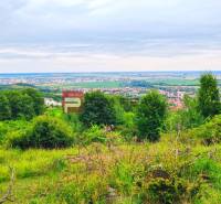 Limbach Pozemky - bydlení prodej reality Pezinok