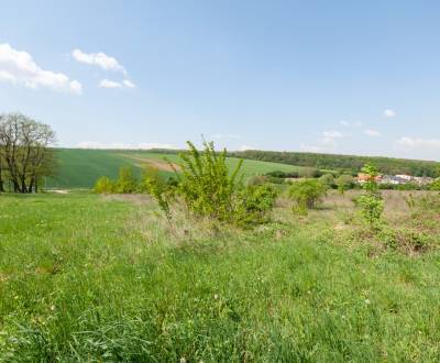 Prodej Pozemky - bydlení, Pozemky - bydlení, Nitra, Slovensko