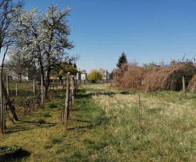 Prodej Pozemky - bydlení, Pozemky - bydlení, Komárno, Slovensko