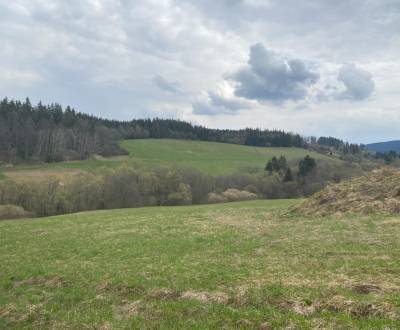 Prodej Pozemky - rekreace, Pozemky - rekreace, Dolný Kubín, Slovensko