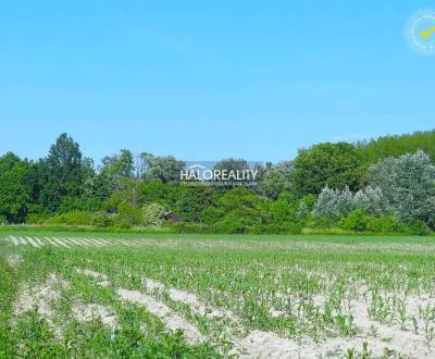 Prodej Pozemky - bydlení, Dunajská Streda, Slovensko