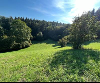 Prodej Pozemky - rekreace, Pozemky - rekreace, Zbora, Púchov, Slovensk