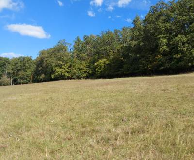 Prodej Pozemky - rekreace, Pozemky - rekreace, Žiar nad Hronom, Sloven