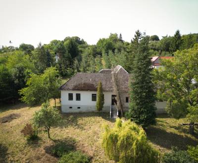 Prodej Chata, Chata, Hrubá Strana, Nové Mesto nad Váhom, Slovensko