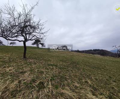 Prodej Pozemky - rekreace, Žarnovica, Slovensko