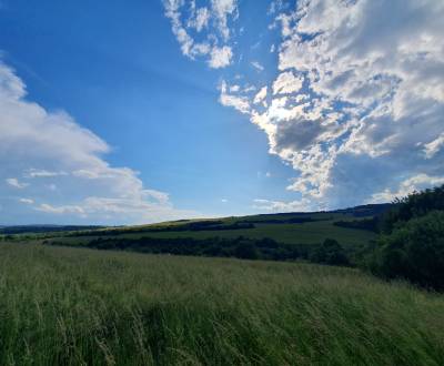 Prodej Pozemky - bydlení, Pozemky - bydlení, Myjava, Slovensko