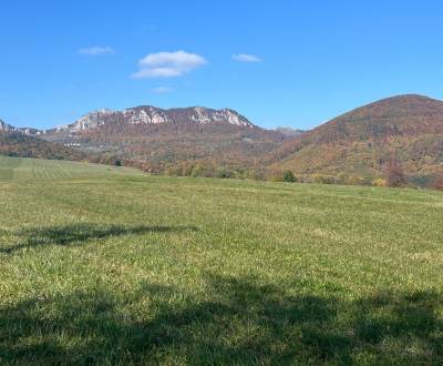 Prodej Pozemky - rekreace, Pozemky - rekreace, Pruské, Ilava, Slovensk