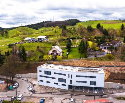 Prodej Byt 2+1, Byt 2+1, Lintich, Banská Štiavnica, Slovensko