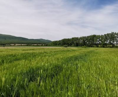 Prodej Pozemky - bydlení, Pozemky - bydlení, Stankovská, Vranov nad To