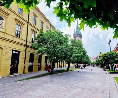 Pronájem Kancelářské prostory, Kancelářské prostory, Hlavná, Prešov, S