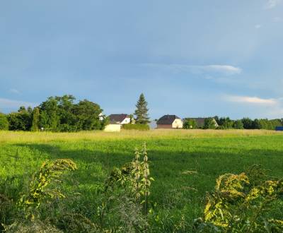 Prodej Pozemky - bydlení, Pozemky - bydlení, Neusiedl am See, Rakousko