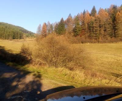 Prodej Zemědělské a lesní, Zemědělské a lesní, Turčianske Teplice, Slo