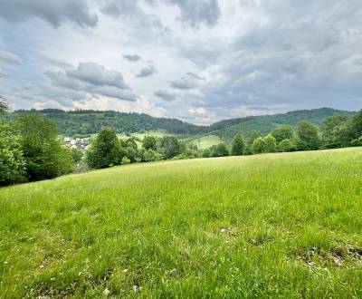 Prodej Pozemky - rekreace, Pozemky - rekreace, Dlhá nad Kysucou, Čadca