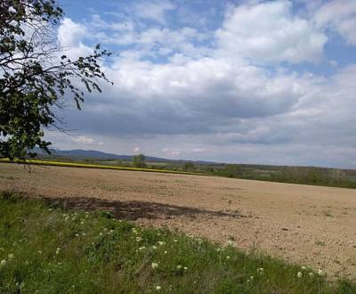 Hledáme Pozemky - bydlení, Pozemky - bydlení, Senec, Slovensko