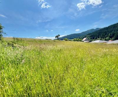 Prodej Pozemky - bydlení, Pozemky - bydlení, Korňanská cesta, Čadca, S