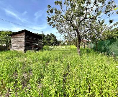 Prodej Pozemky - rekreace, Levice, Slovensko