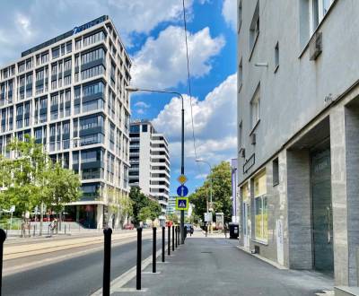 Prodej Byt 1+1, Byt 1+1, Radlinského, Bratislava - Staré Mesto, Sloven