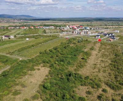 Prodej Zemědělské a lesní, Zemědělské a lesní, Trnavská cesta, Pezinok