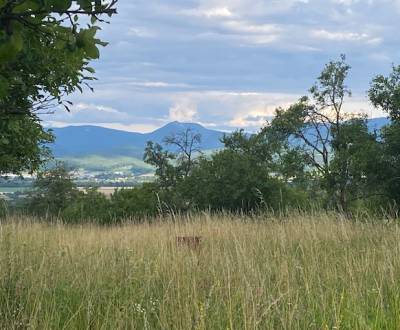 Prodej Pozemky - rekreace, Pozemky - rekreace, Ilava, Slovensko