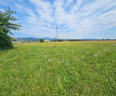 Prodej Pozemky - bydlení, Pozemky - bydlení, Ilava, Slovensko