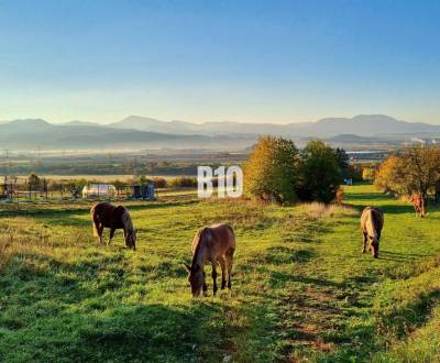 Prodej Pozemky - bydlení, Pozemky - bydlení, Martin, Slovensko