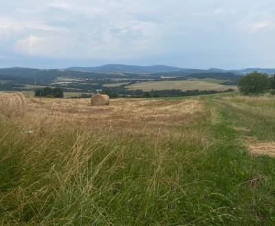 Prodej Pozemky - bydlení, Pozemky - bydlení, Stará Turá, Nové Mesto na