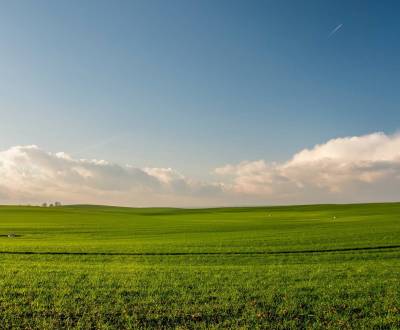 Prodej Pozemky - bydlení, Pozemky - bydlení, Adyho, Dunajská Streda, S