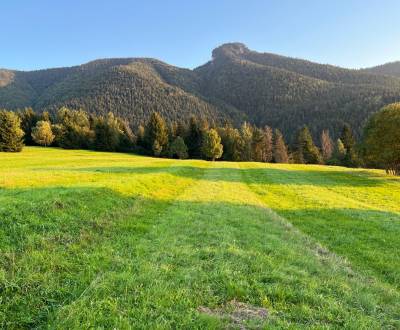 Prodej Zemědělské a lesní, Zemědělské a lesní, Žilina, Slovensko