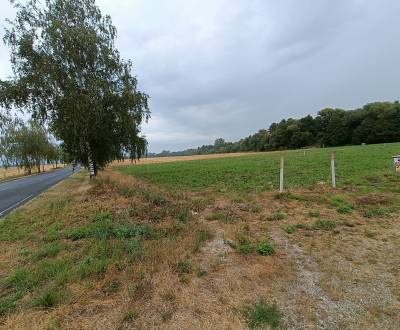 Prodej Pozemky - komerční, Pozemky - komerční, Topoľčany, Slovensko