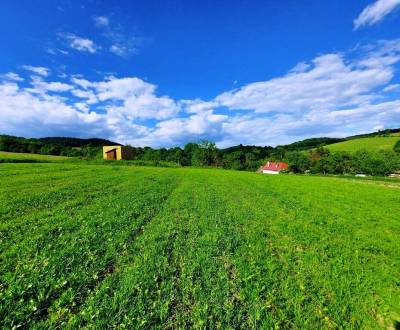 Prodej Pozemky - komerční, Pozemky - komerční, Priemyselná, Michalovce