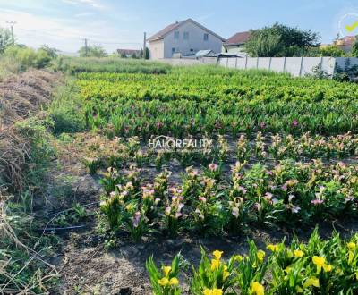 Prodej Pozemky - bydlení, Senec, Slovensko