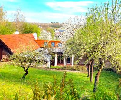 Prodej Rodinný dům, Rodinný dům, Neusiedl am See, Rakousko