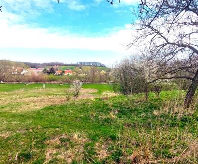 Prodej Pozemky - bydlení, Pozemky - bydlení, Neusiedl am See, Rakousko