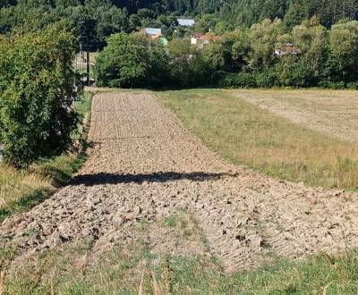 Prodej Zemědělské a lesní, Zemědělské a lesní, Šurabová, Považská Byst