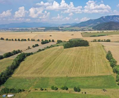 Prodej Zemědělské a lesní, Zemědělské a lesní, Mošovce, Turčianske Tep