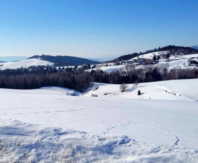 Prodej Pozemky - rekreace, Pozemky - rekreace, Detva, Slovensko