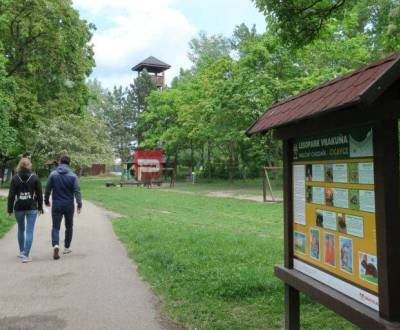 Prodej Pozemky - komerční, Pozemky - komerční, Pri letisku, Bratislava