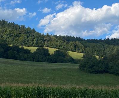 Prodej Pozemky - rekreace, Pozemky - rekreace, Mestečko, Púchov, Slove