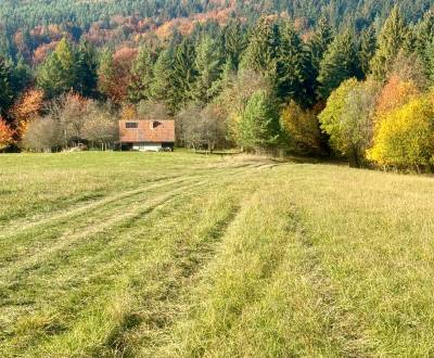 Prodej Pozemky - bydlení, Pozemky - bydlení, Považská Bystrica, Sloven