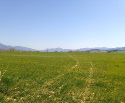 Prodej Pozemky - bydlení, Pozemky - bydlení, Martin, Slovensko