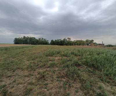 Prodej Pozemky - bydlení, Pozemky - bydlení, Topoľčany, Slovensko