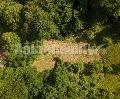 Prodej Pozemky - bydlení, Pozemky - bydlení, Viničná cesta, Žarnovica,