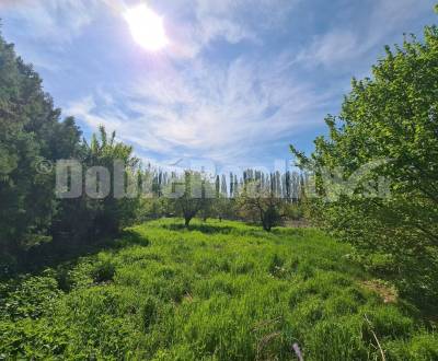 Prodej Pozemky - bydlení, Pozemky - bydlení, Nový rad, Šaľa, Slovensko